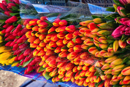 colorful beautiful spring large bunches of tulips lying on a market stallの写真素材