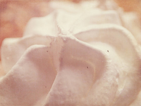 beautiful small appetizing white meringues on a plate in close-upの写真素材