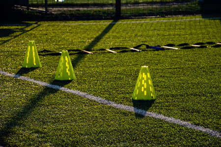 training football pitch with artificial green grass and training aids illuminated by the afternoon warm sunの写真素材