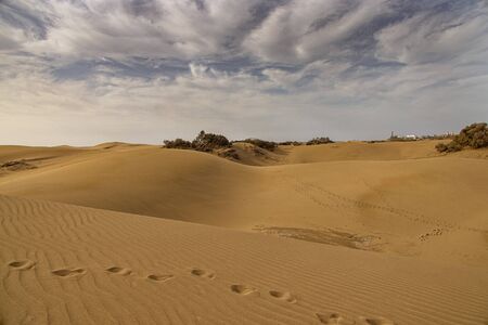 beautiful summer desert landscape on a warm sunny day from Maspalomas dunes on the Spanish island of Gran Canariaの写真素材