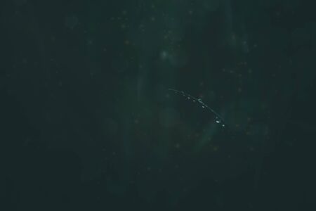 small brush of grass on the green, background with water dropsの写真素材