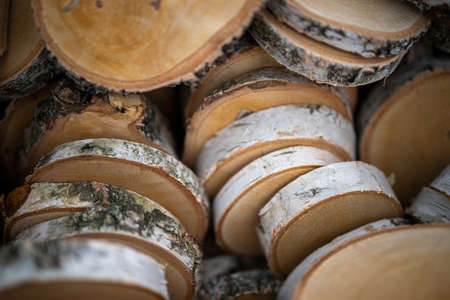 natural background from birch trunk cut into oval pieces