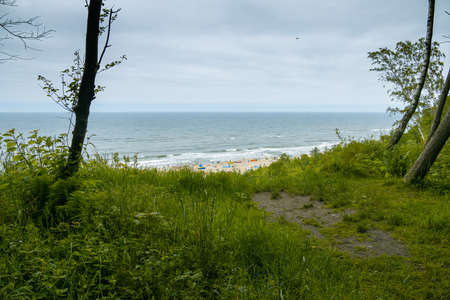 view from the escarpment to the beach on the Baltic Sea on a summer day with people restingの写真素材