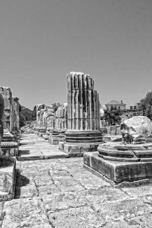 beautiful old ruins of the ancient temple of Apollo in Didim, Turkey on a hot summer dayの写真素材