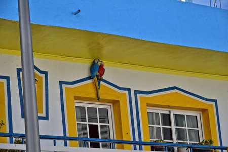 the beautiful city of Corralejo on the Spanish Canary Island Fuerteventura on a warm holiday dayの写真素材
