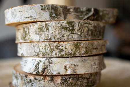 natural background from birch trunk cut into oval piecesの写真素材