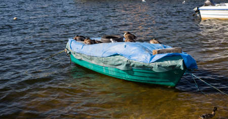 small empty rowing boat on the water on a summer dayの写真素材