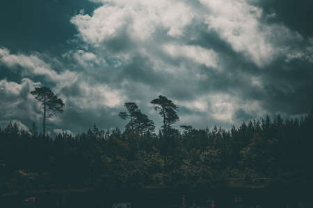 beautiful sky with gray clouds against the backdrop of green trees on a warm summer dayの写真素材