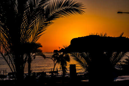 beautiful orange sunset in the turkish city of alanya with palm trees and the seaの写真素材