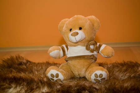 beautiful large brown teddy bear sitting on sheep's clothing on an orange backgroundの写真素材