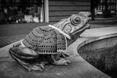 beautiful famous frog in lÄbork poland in a hand-knitted red cape for Christmas close-upの写真素材