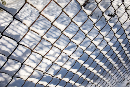 plain metal mesh, fence on white snow background in winter day in close-upの写真素材