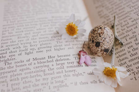 close-up of a beautiful little spring daisy flower and chamomile quail egg on the background of an old bookの写真素材