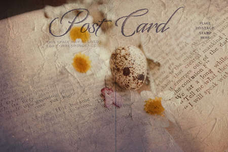 close-up of a beautiful little spring daisy flower and chamomile quail egg on the background of an old bookの写真素材