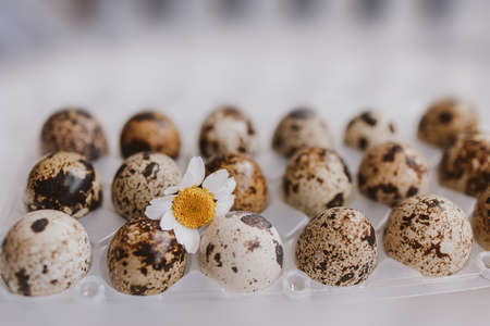 small quail eggs in a package on a bright background for Easter