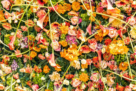 beautiful natural orage, background with flowers close-up