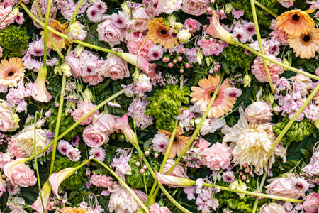 beautiful natural pink background with flowers close-up