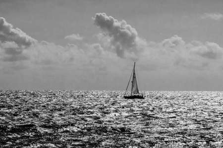 beautiful calm blue seaside landscape with water and sky and sailboats
