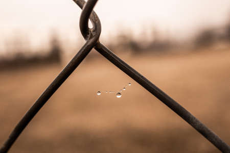 beautiful little delicate water drops on a spider web in close-up on a foggy dayの写真素材