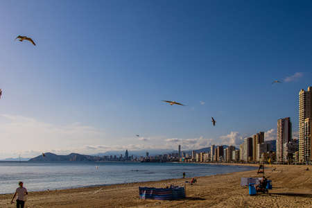 beautiful landscape of Benidorm Spain in a sunny day on the seashore with seagulls