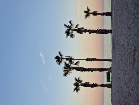 beautiful seaside landscape peace and quiet sunset and four palm trees on the beach and a benchの写真素材