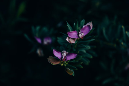 beautiful little gentle in the garden on the background of green leaves close-up