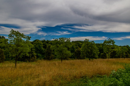 beautiful summer landscape with green trees, meadows, fields and sky with white clouds