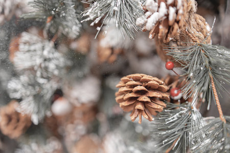beautiful christmas decorations brown small pine conesの写真素材