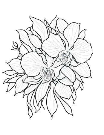 big flowers coloring book for children and adultsの素材