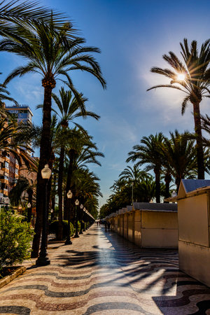 explanada beautiful promenade in Alicante spain.の写真素材