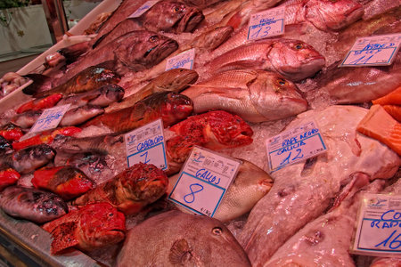 A display of various fresh fish is laid out on a bed of ice at a market, with price tags indicating their costの写真素材