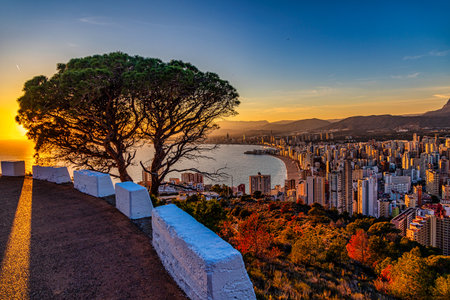 A vibrant sunset casts golden hues over a cityscape, with the sun partially hidden by a lone tree.の写真素材