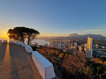 A vibrant sunset casts golden hues over a cityscape, with the sun partially hidden by a lone tree.の写真素材