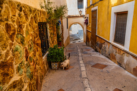 beautiful streets in the spanish town of Petrerの写真素材
