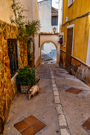 beautiful streets in the spanish town of Petrer in spainの写真素材