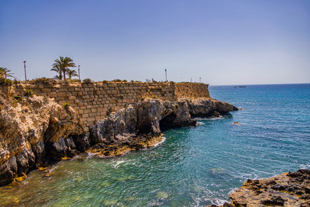 A rocky coastal landscape features ancient stone walls overlooking the blue sea, with palm trees and shrubs scattered around the area.の写真素材
