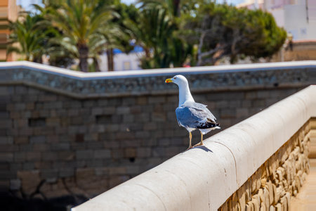 A seagull stands on a stone railing overlooking a body of water, with lush greenery in the backgroundの写真素材