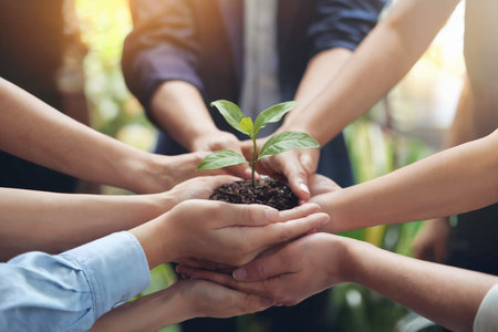 Several hands are gathered together, holding a small plant growing from soil, symbolizing teamwork and growthの素材