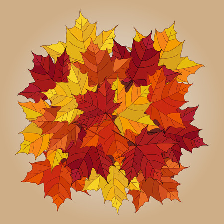 Vector autumn fallen leaves.  Leafs element floral color garden art. Pile of leaves. Maple autumn  leavesのイラスト素材