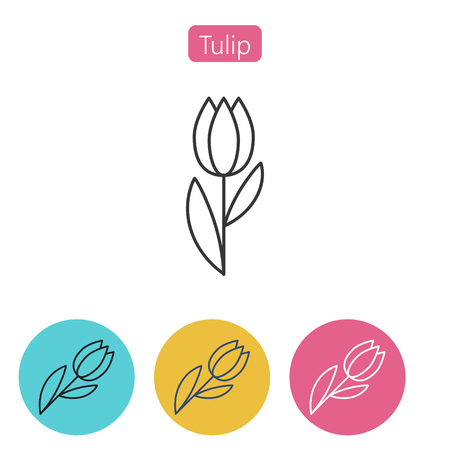 Simple outline tulip vector icon. Plant symbol for your design. Simple outline element vector illustration on white background. Editable stroke.のイラスト素材