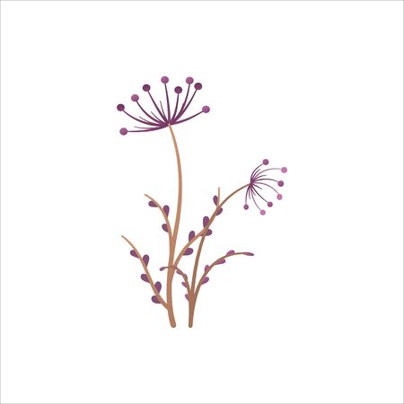 Meadow plant isolated on whiteのイラスト素材