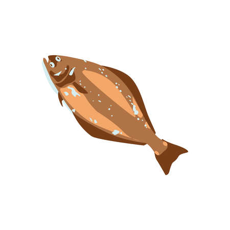 Flounder, halibut commercial marine fish species. Delicious fresh fish, seafood menu, fish market design element. Organic natural healthy nutritious food cartoon vector illustration isolated.のイラスト素材