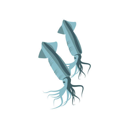 Squid fresh sea creature. Seafood menu, fish market design element. Organic natural nutritious vegetarian food cartoon vector illustration isolated on white backgroundのイラスト素材