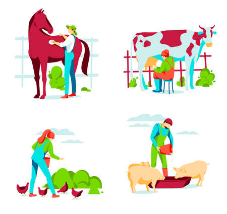 People taking care of animals on farm. Male and female farm workers grooming, feeding and milking. Livestock agricultural industry. Eco farming and agriculture concept flat vector illustrationのイラスト素材
