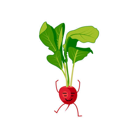 Cute radish cartoon character. Kawaii vitamin root vegetable with funny face, arms and legs. Natural vegetarian food emoticon. Healthy eating concept vector illustration on white backgroundのイラスト素材