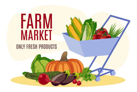 Farm market banner template. Wheelbarrow with natural organic vegetables. Only fresh products. Eco food delivery service, store, farm market, packaging and advertising design flat vector illustrationのイラスト素材