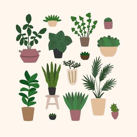 Vector hand drawn illustration set of home potted plants. Home plants is a modern interior design elementのイラスト素材
