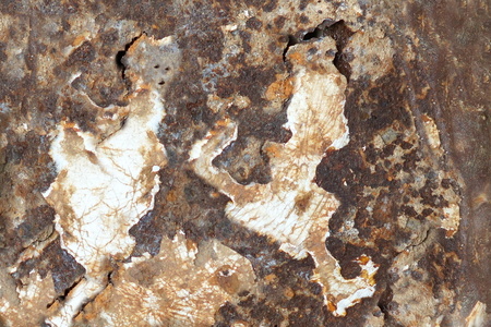 Escape of the country of rust