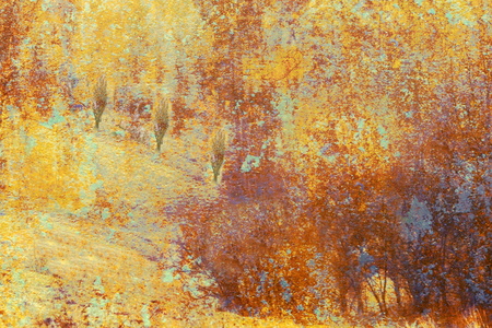 Tree in colors