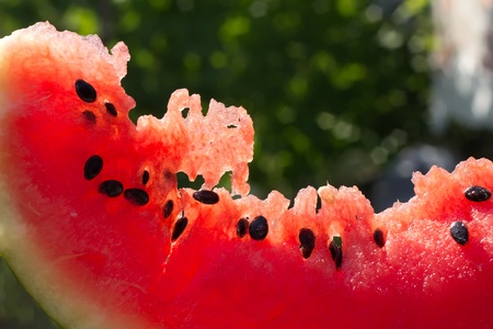spill of fresh and juicy sugar watermelon